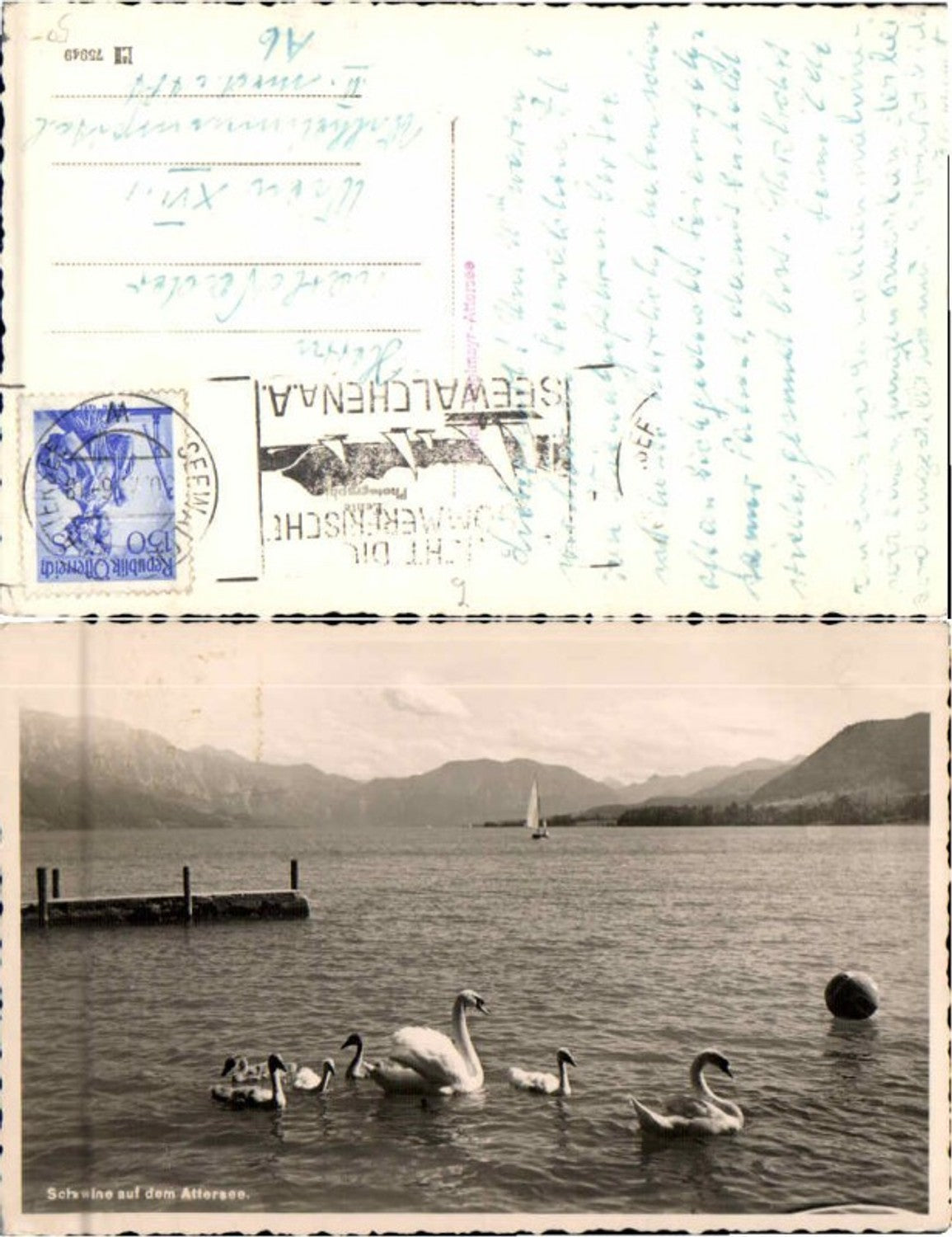 66568, Swans on Lake Attersee around 1935