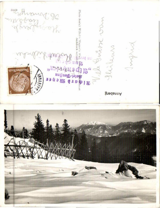 66930,Annaberg am Ötscher Partie auf Wiese