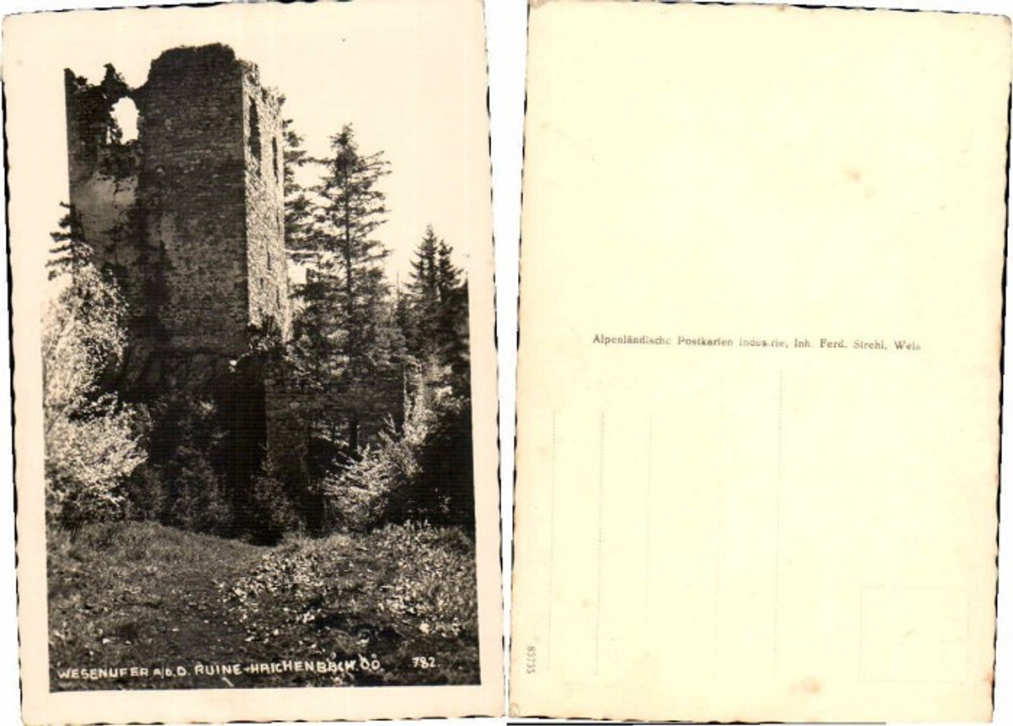 67027,Wesenufer Ruine HAICHENBACH