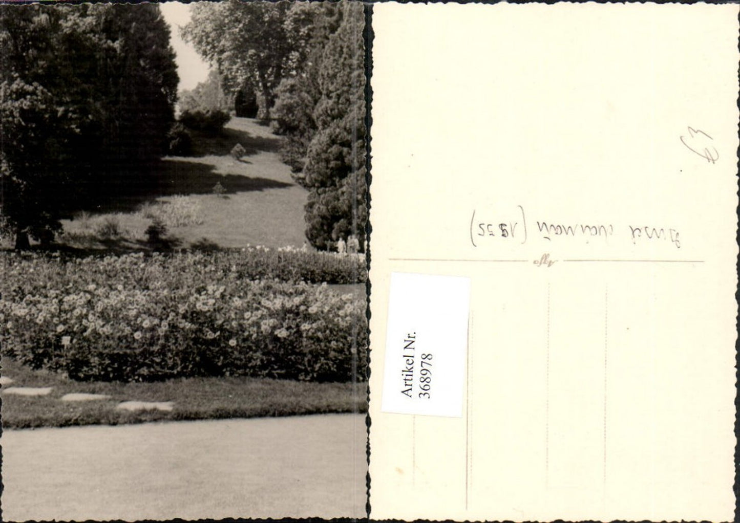 368978,Foto AK Insel Mainau b. Konstanz Motiv