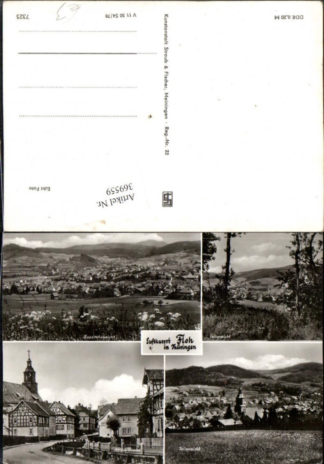 369559, Flea Total At the Church Party Multiview Card