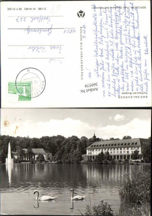 369579, Bad Salzungen Kurhaus am Burgsee Swans