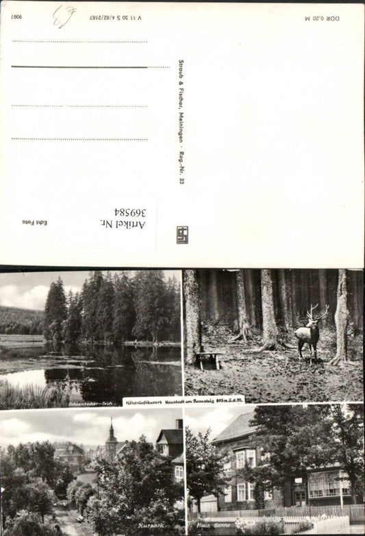 369584,Neustadt am Rennsteig Kurpark Haus Sonne Teich Hirsch Mehrbildkarte