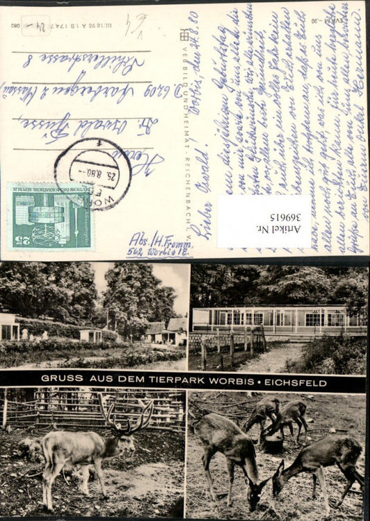 369615,Worbis Tierpark Hirsch Rehe Wild Mehrbildkarte pub VEB