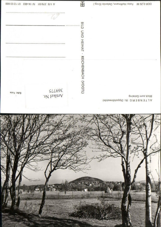 369775,Altenberg Teilansicht Blick zum Geising
