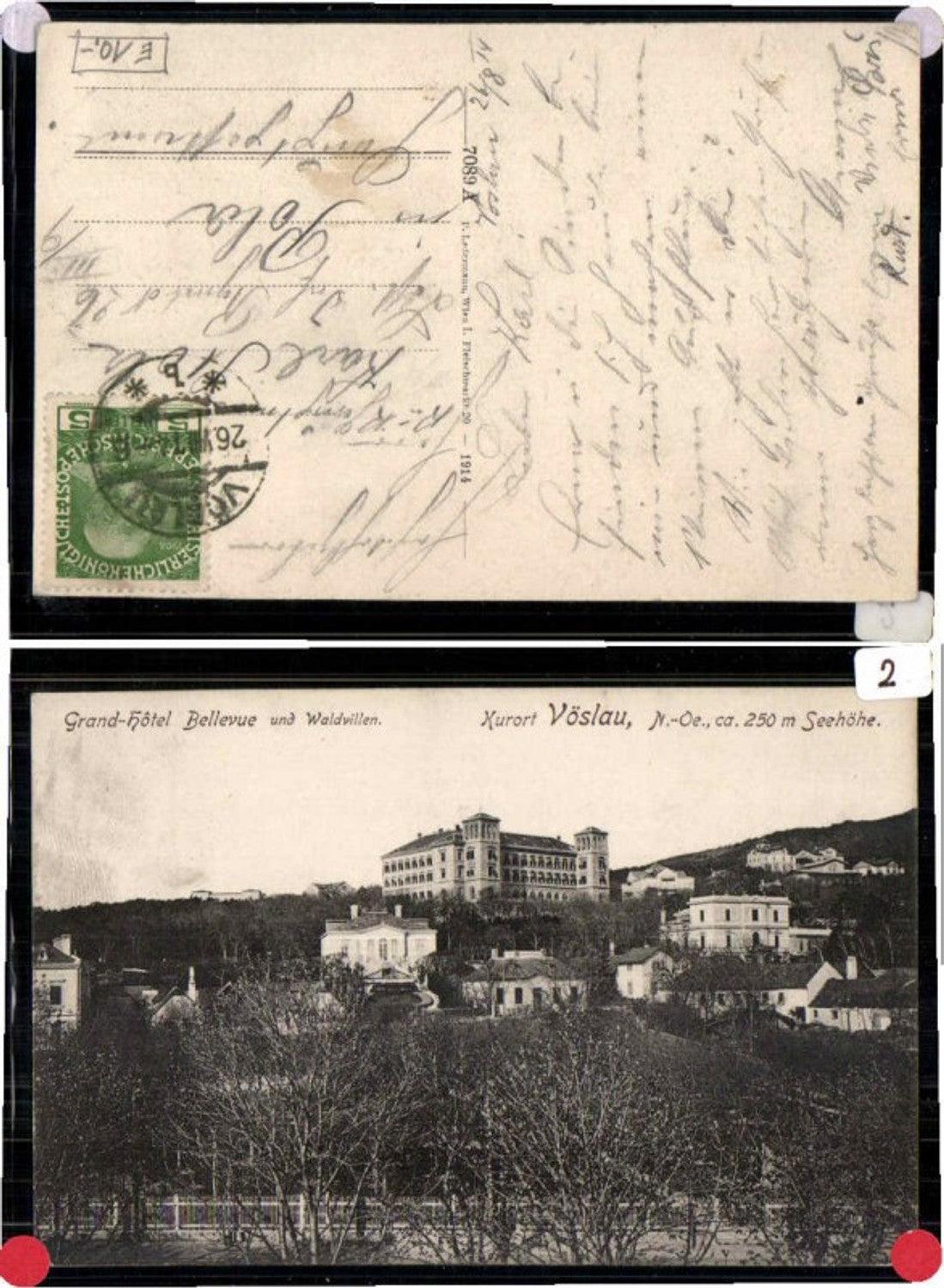 68602,Vöslau Grand Hotel Bellevue Waldvillen pub Ledermann 7089A