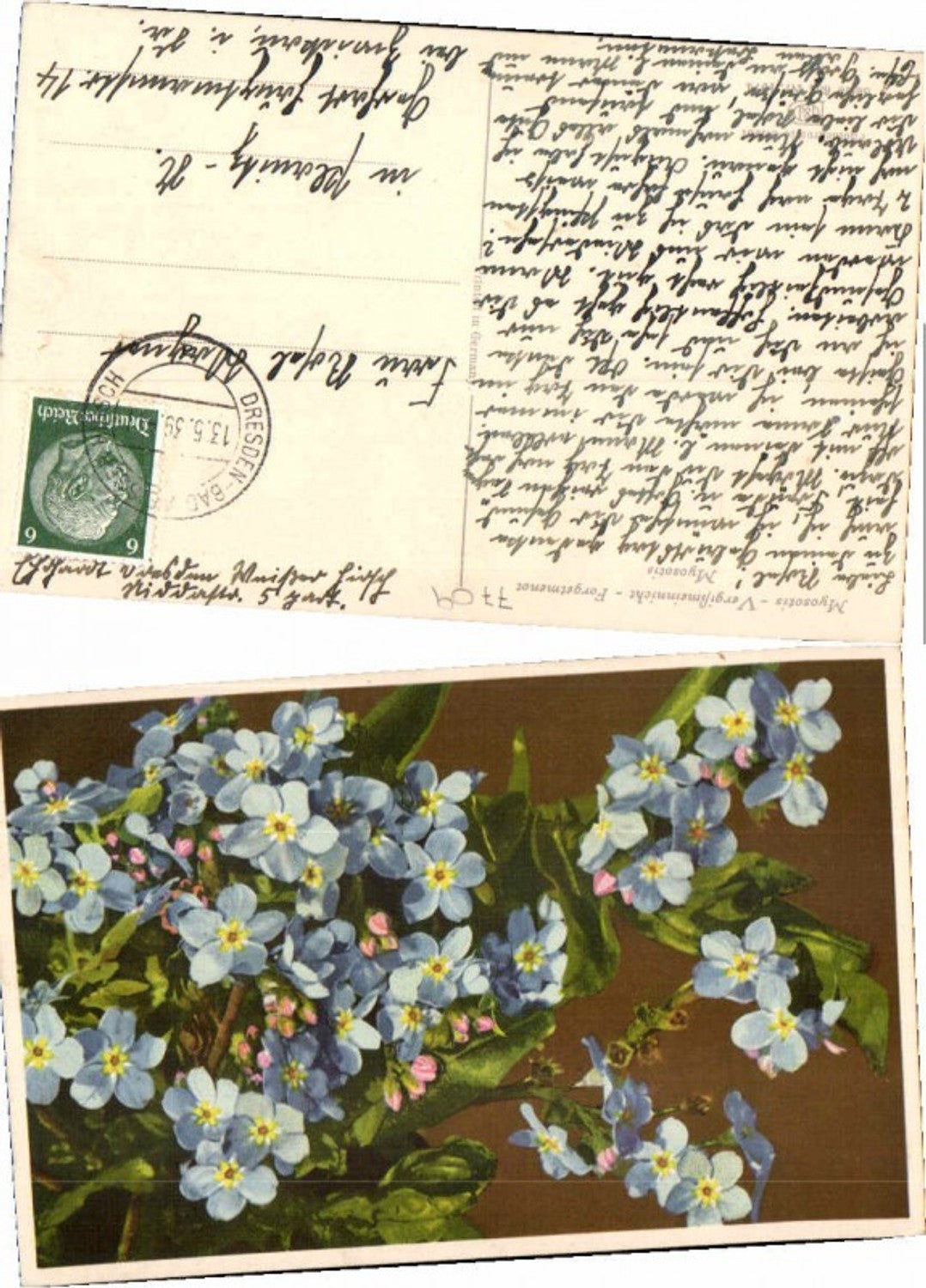 68879,Photochromie Ser 684-1974 Vergißmeinnicht Blumen