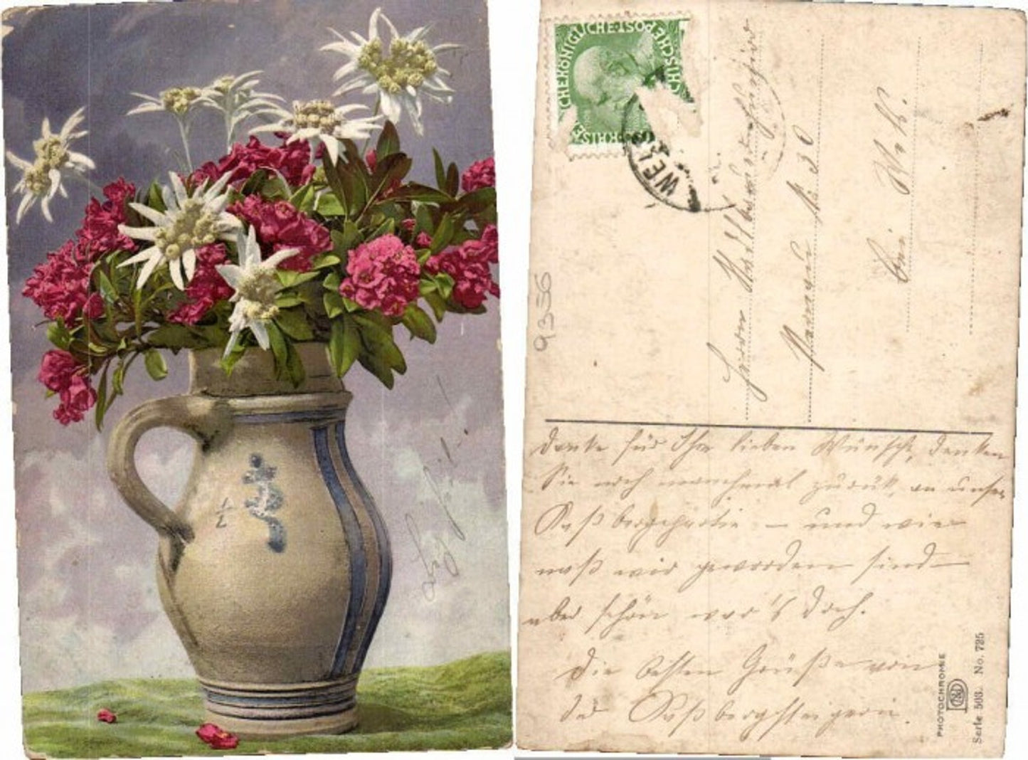 68883,Photochromie Ser 503-725 Edelweiss Blumen Vase