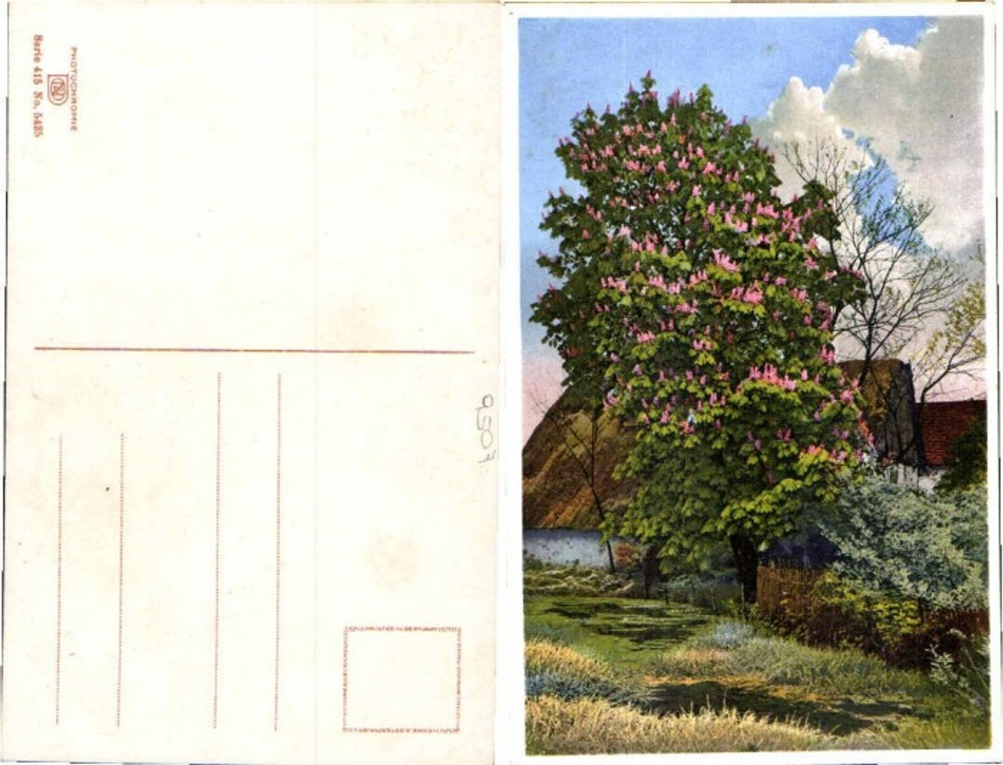 68884,Photochromie Ser 415-5425 Blühender Obst Baum Obstbaum