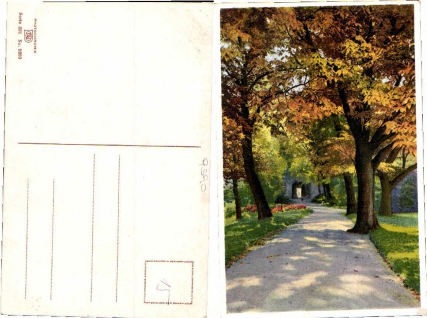 68885,Photochromie Ser 391-5280 Allee m. Bäume Wegpartie