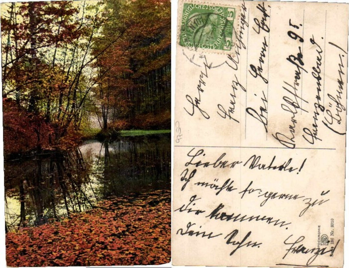 68890,Photochromie Ser 186-3210 Herbst Landschaft Wald Blätter Bäume