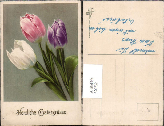 370232, Artist AK Easter Flowers Tulips
