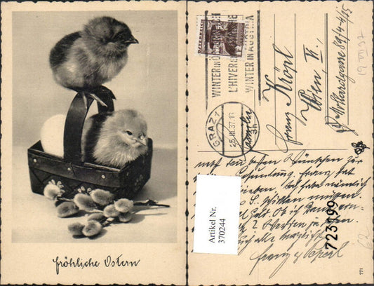 370244, Easter chick basket egg pussy willow catkin