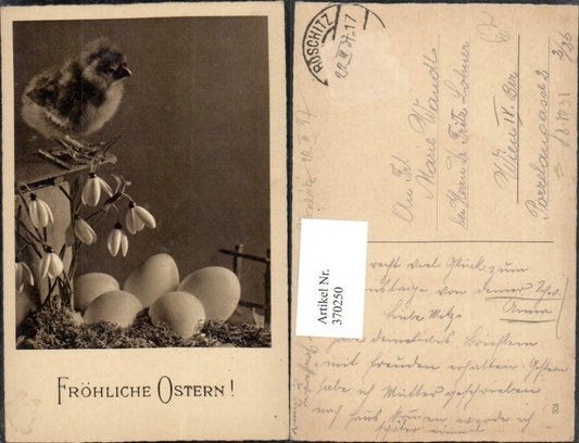 370250, Easter chicks flowers snowdrops eggs