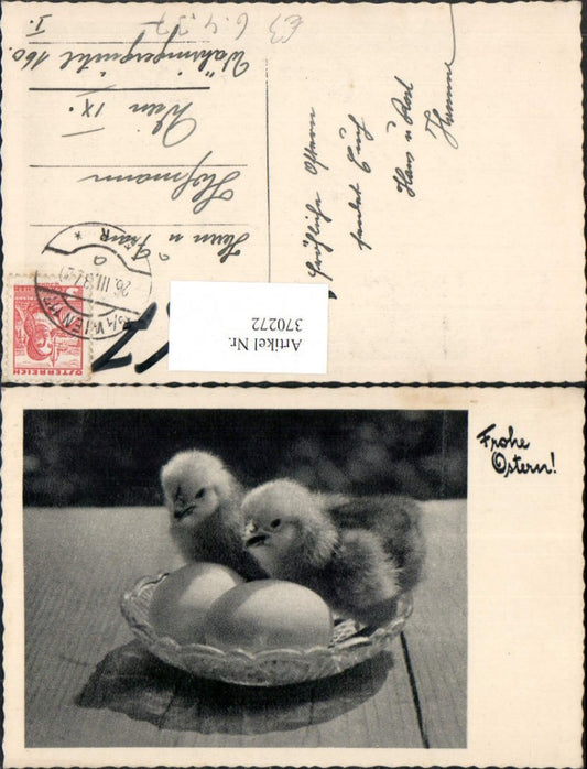 370272, Easter chick eggshell