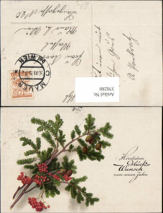 370280,Neujahr Tannenzweige Zapfen Beeren