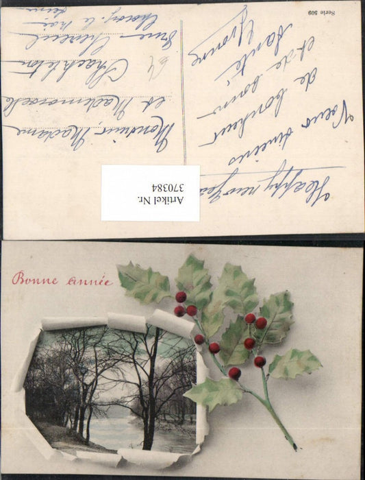370384,Neujahr Landschaft Passepartout Zerrissenes Papier Stechpalme