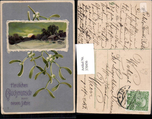 370456,Präge Reliefkarte Neujahr Winterlandschaft Passepartout Mistelzweig