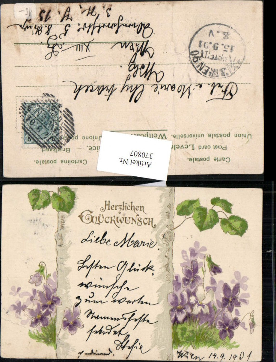 370807,Präge Litho Glückwunsch Baumstamm Blumen Veilchen