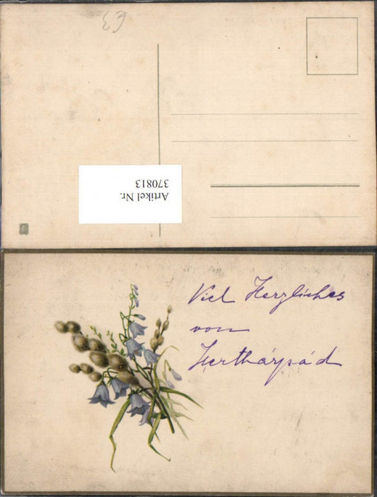 370813, Artist AK Pussy Willows Bellflowers