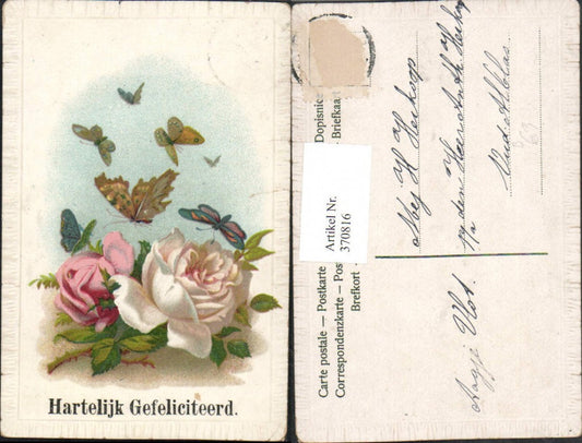 370816,Artist AK Hartelijk Gefeliciteerd Roses Butterflies