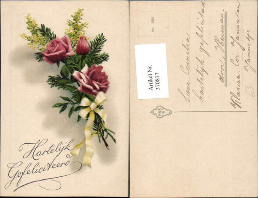 370817, Artist AK Hartelijk Gefeliciteerd Congratulations Roses Fir branch Ribbon