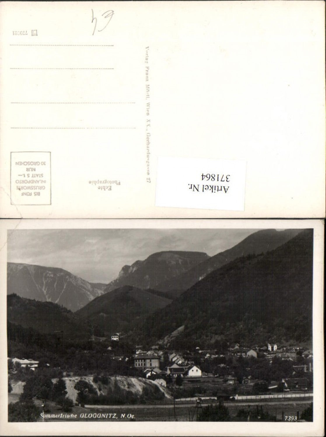 371864,Gloggnitz Teilansicht Bergkulisse