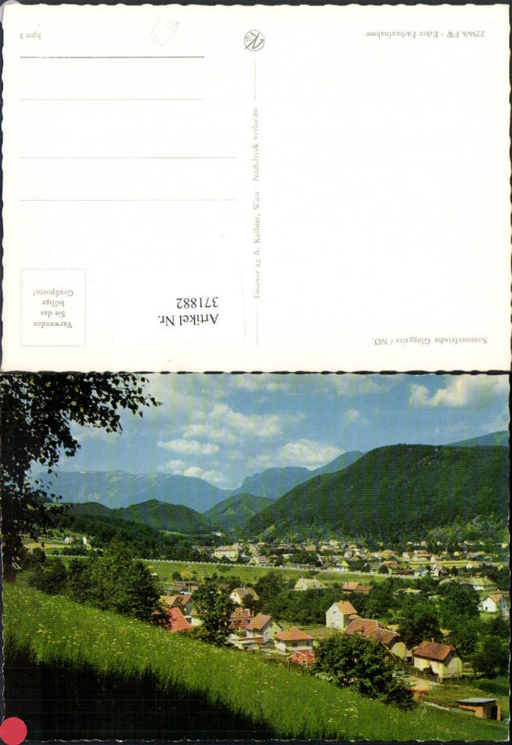 371882,Gloggnitz Teilansicht Bergkulisse