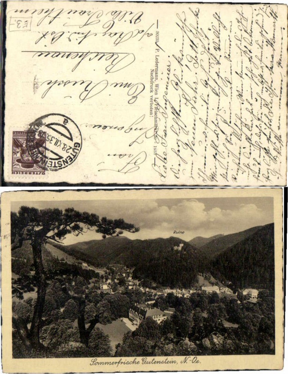 71561,Sommerfrische Gutenstein pub Ledermann 30235