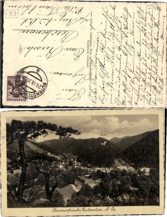 71561,Sommerfrische Gutenstein pub Ledermann 30235