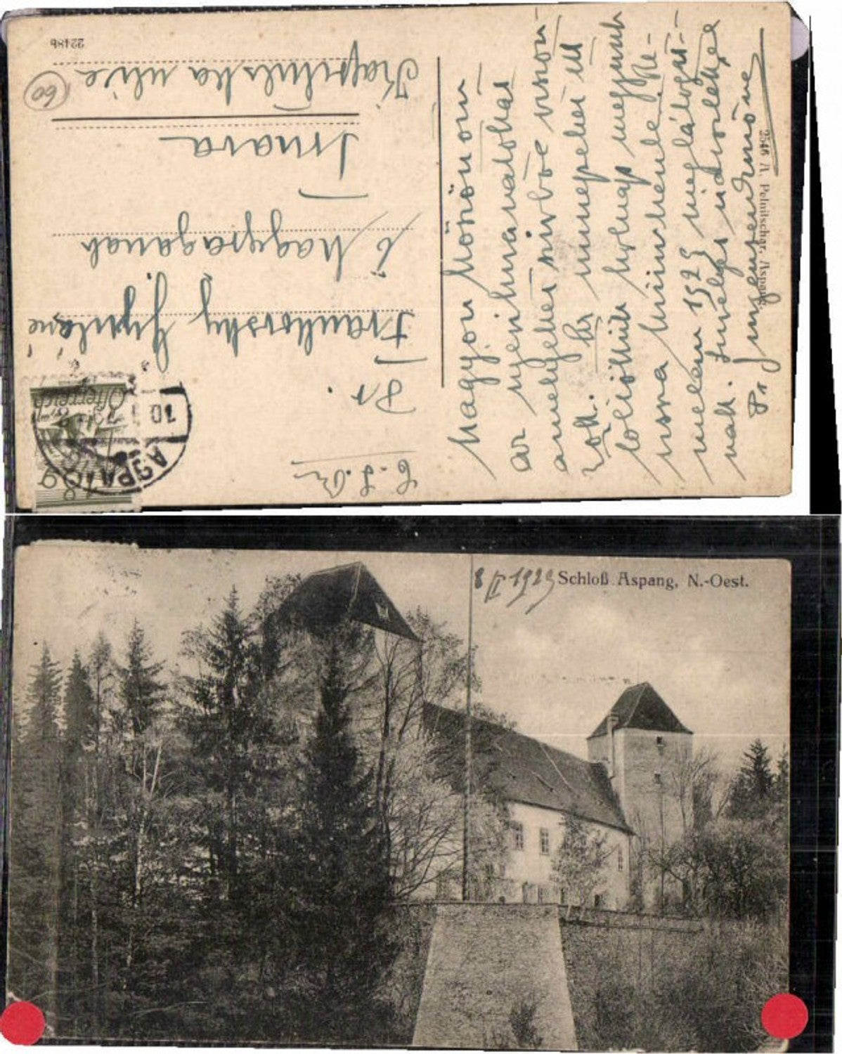 71619,Schloss Aspang pub Pelnitschar 2546