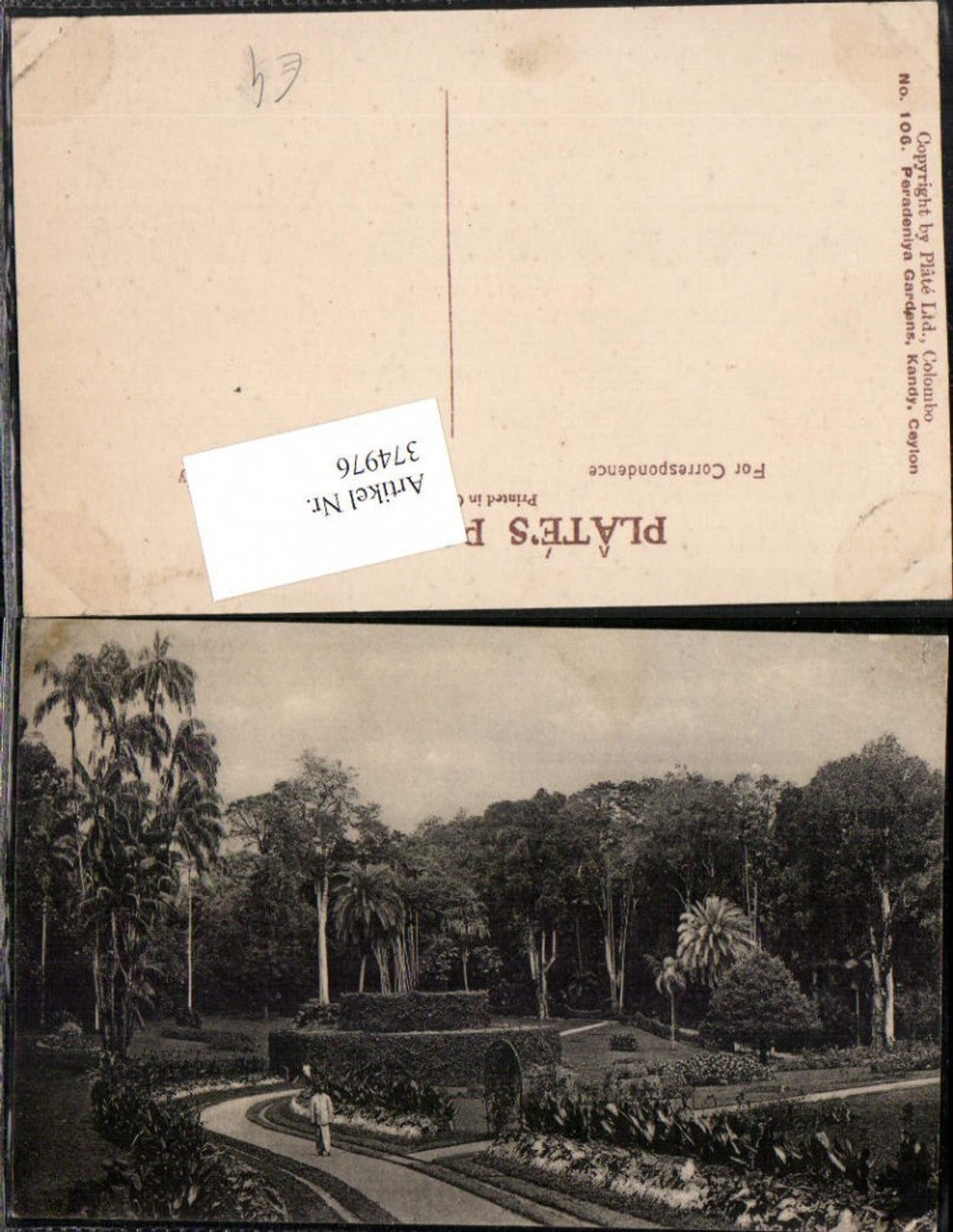 374976,Ceylon Sri Lanka Kandy Peradeniya Gardens Garten