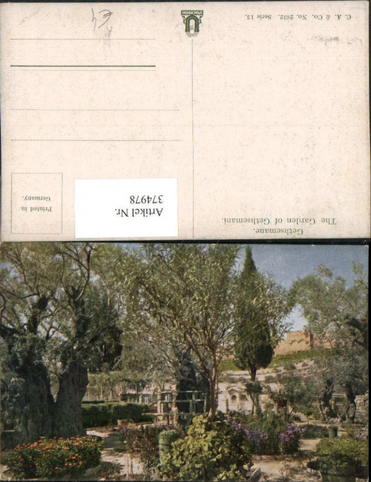 374978,Künstler AK Israel Jerusalem Gethsemane Garden of Gethsemani Garten