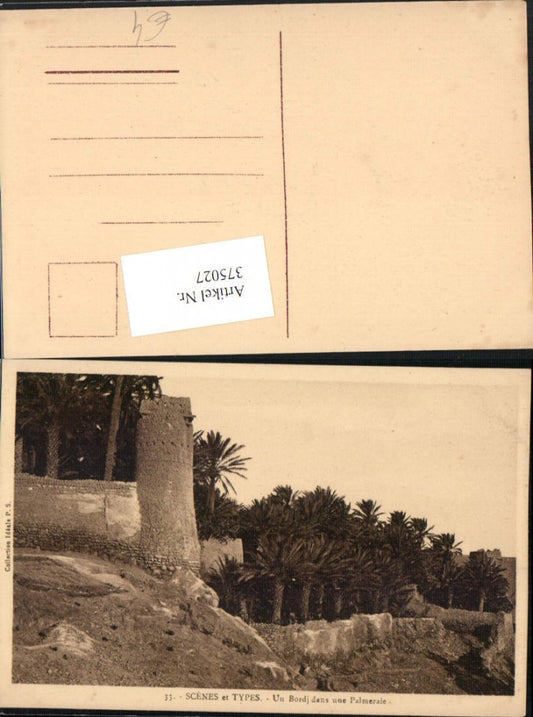 375027,Scenes et Types Un Bordj dans une Palmeraie Palmen