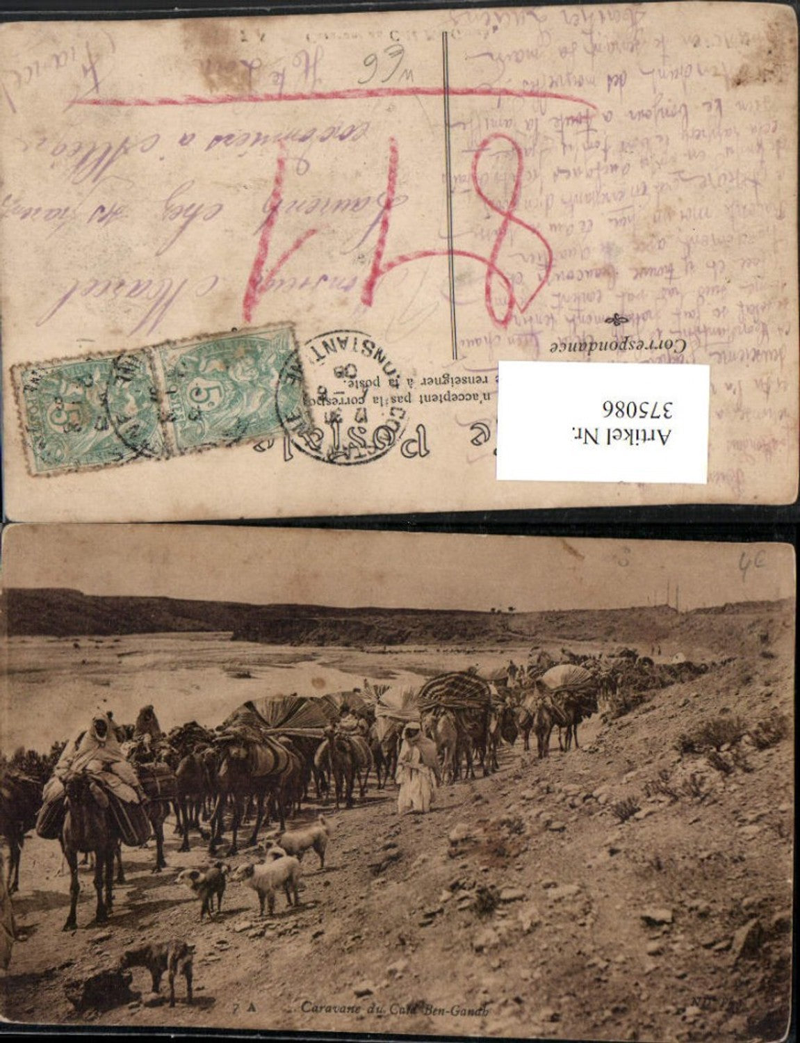 375086,Algeria Caravane du Caid Ben Ganah Karawane Kamele Volkstypen