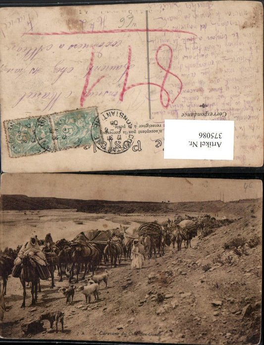 375086,Algeria Caravane du Caid Ben Ganah Karawane Kamele Volkstypen
