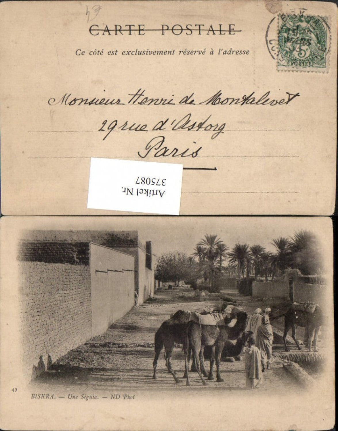 375087,Algeria Biskra Une Seguia Volkstypen Kamele