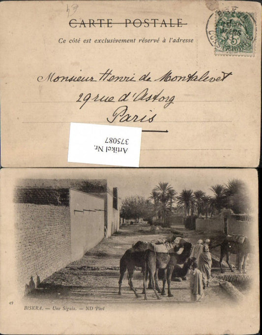 375087,Algeria Biskra Une Seguia Volkstypen Kamele
