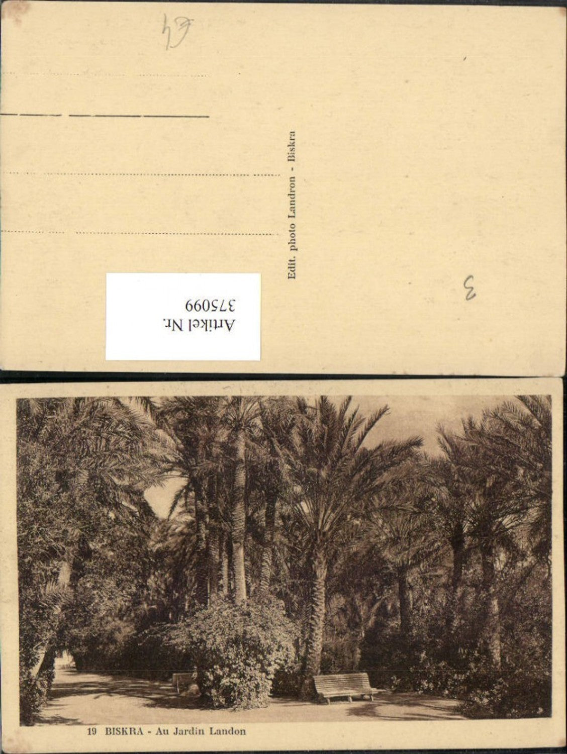 375099,Algeria Biskra Au Jardin Landon Garten Palmen