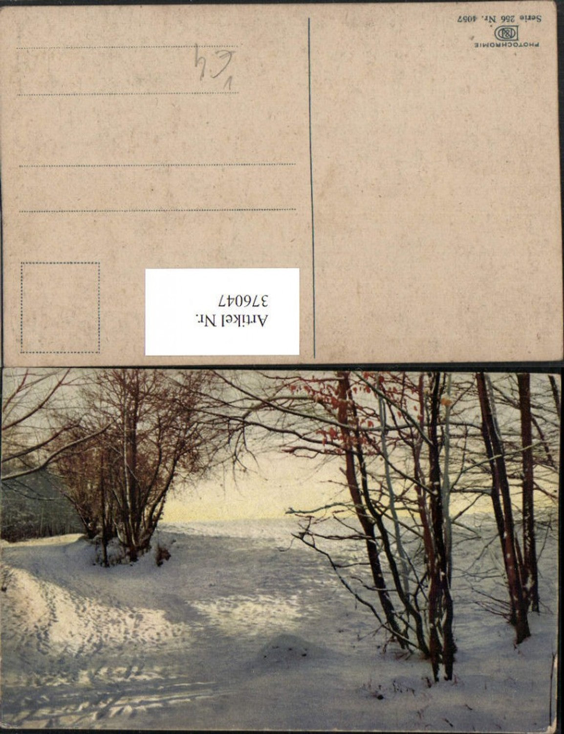 376047,Photochromie Nenke & Ostermaier 256/4057 Winterlandschaft Wegpartie