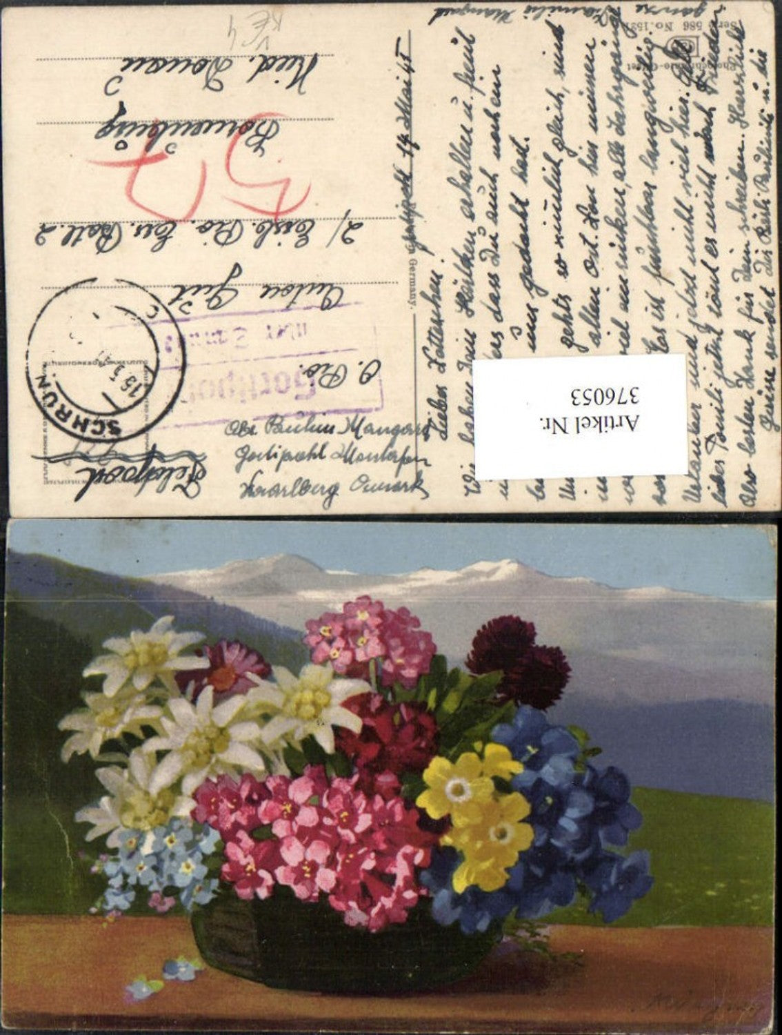 376053,Photochromie Nenke & Ostermaier 586/1521 Künstler A. Wagner Alpenblumen Edelweiß