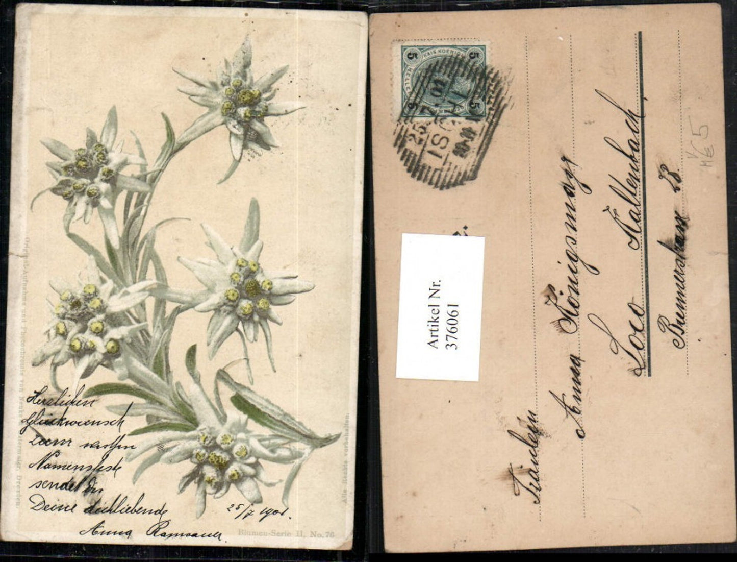 376061,Photochromie Nenke & Ostermaier Blumen-Serie 76 Edelweiß Blumen