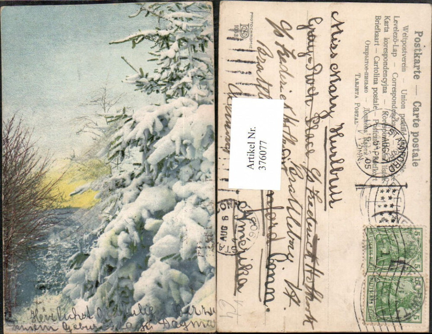376077,Photochromie Nenke & Ostermaier 1053 Wald Bäume Winterbild