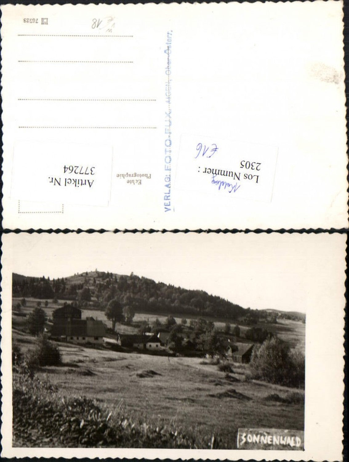 377264,Foto AK Sonnenwald b. Aigen im Mühlkreis pub Foto Fux