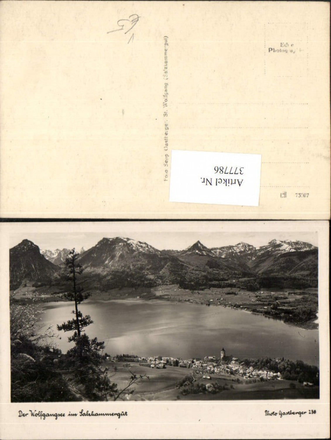 377786,St. Wolfgang am Wolfgangsee Totale Bergkulisse pub Foto Gastberger 236