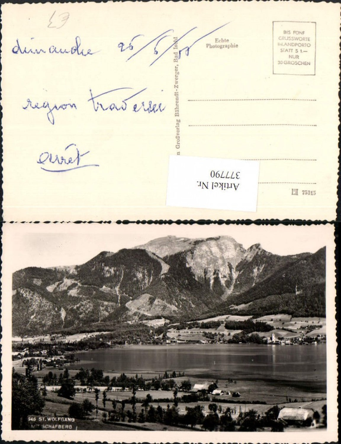 377790,St. Wolfgang Teilansicht m. Schafberg Bergkulisse