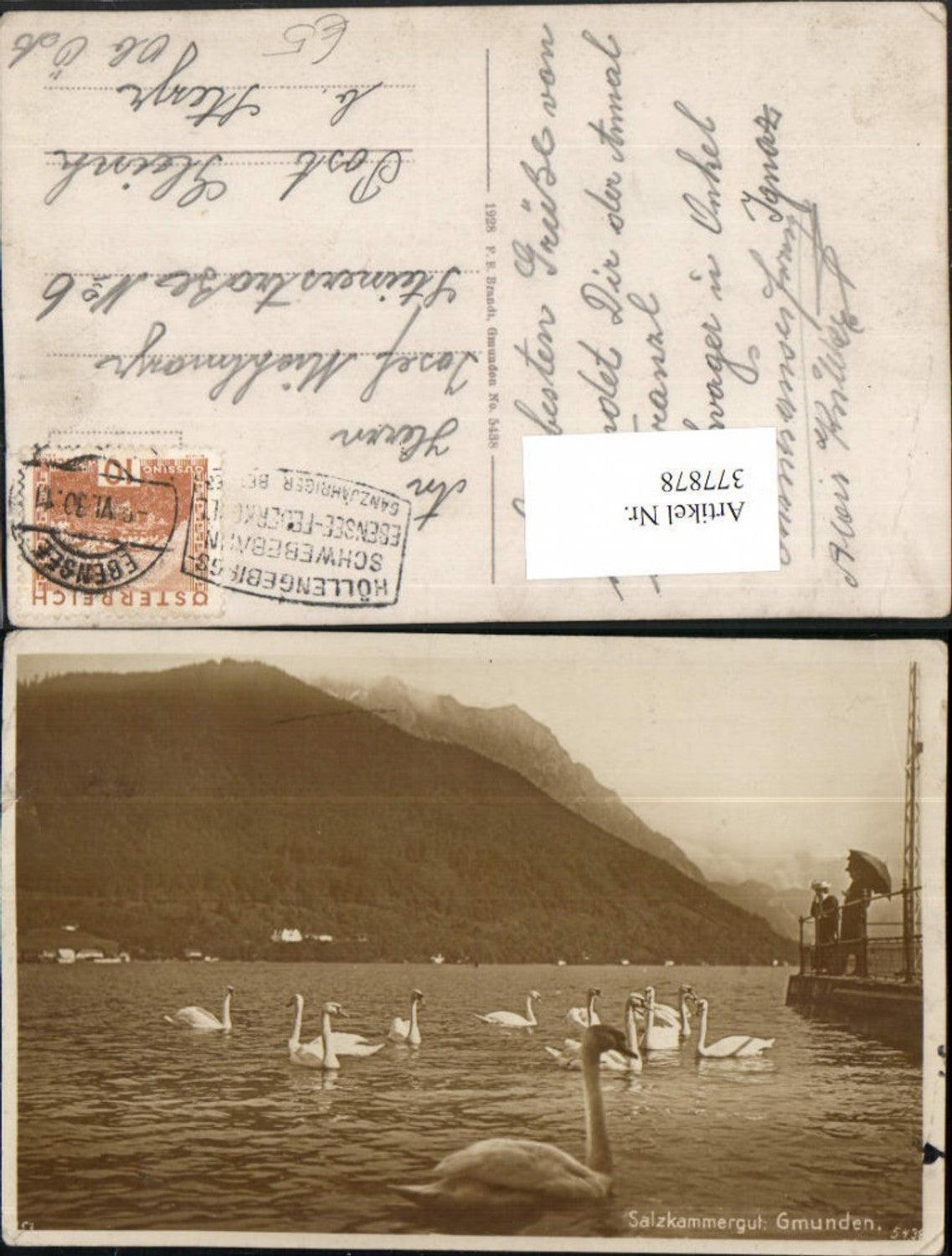 377878,Gmunden Schwäne am Traunsee Bergkulisse