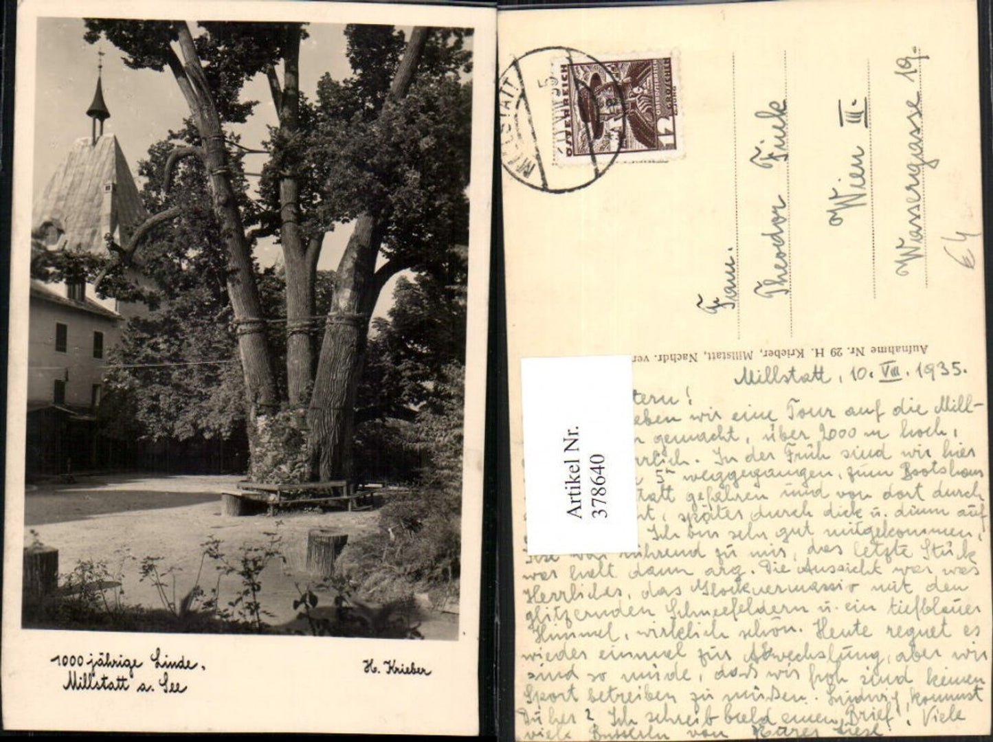378640,Millstatt am See 1000-jährige Linde Baum