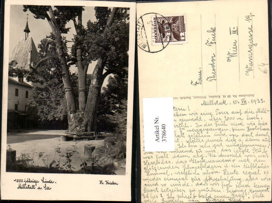 378640,Millstatt am See 1000-jährige Linde Baum