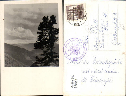 378682,Bad Kleinkirchheim Bergkulisse Baum